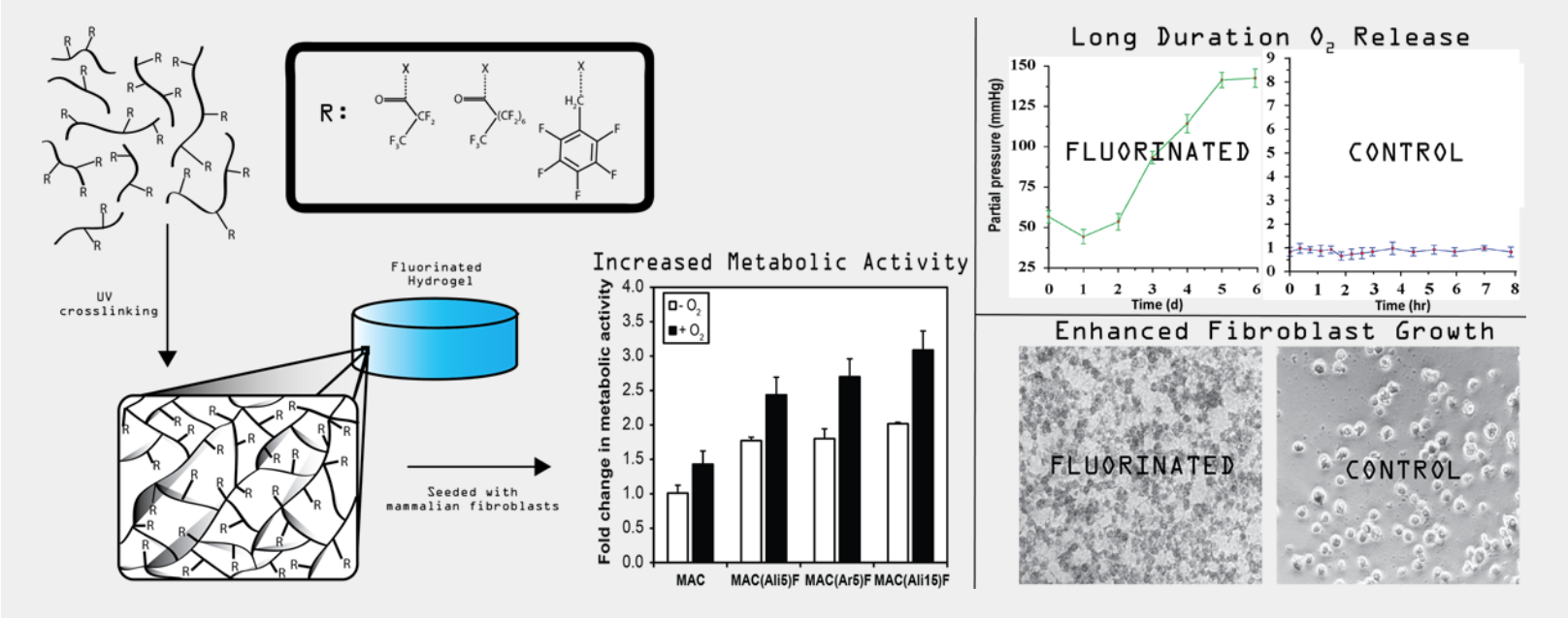 MACF fluorinated hydrogel schematic showing long-duration oxygen release, increased metabolic activity, and enhanced fibroblast growth