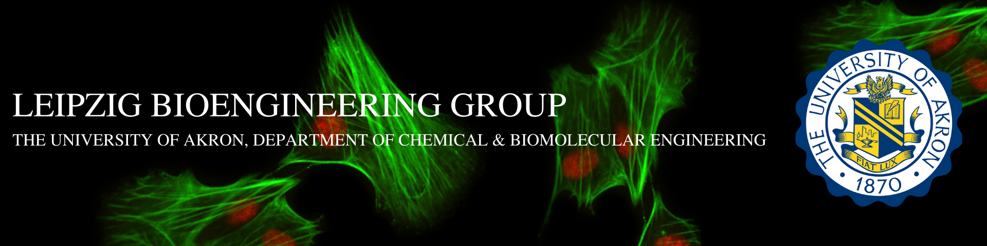 Leipzig Bioengineering Group